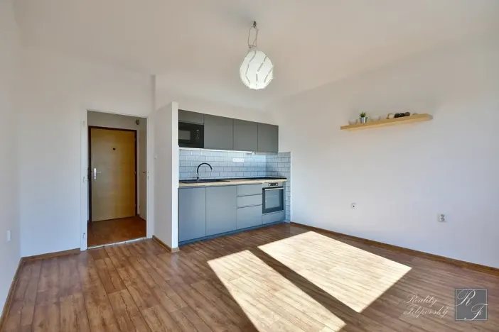 Pronájem bytu 2+kk, Ústí nad Labem, Brandtova, 43 m2