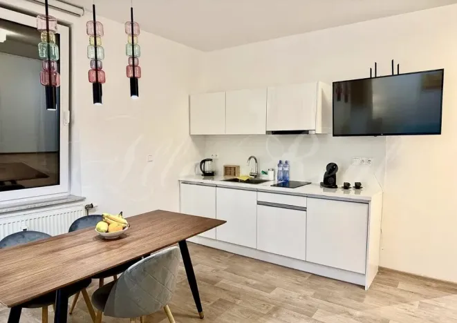 Pronájem bytu 1+kk, Brno - Brno-město, Kobližná, 50 m2