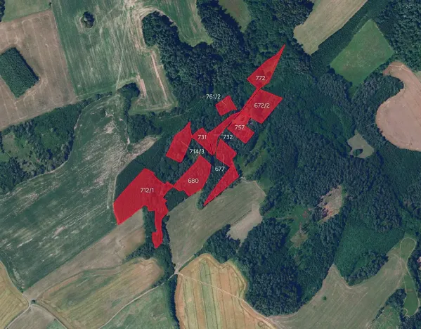 Prodej lesa, Proseč, 39942 m2