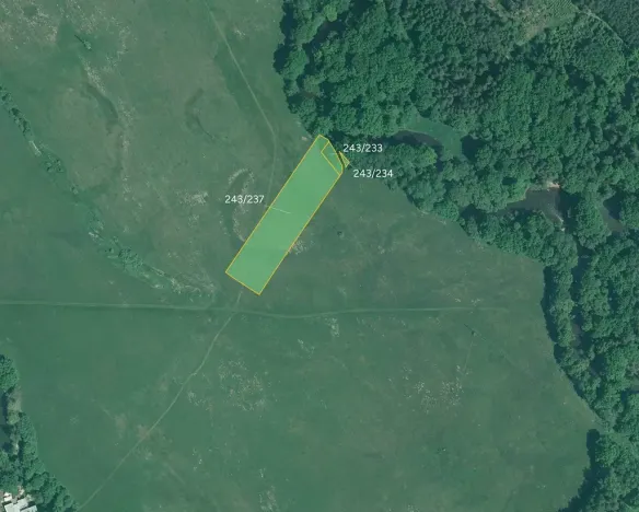 Prodej louky, Majdalena, 10797 m2