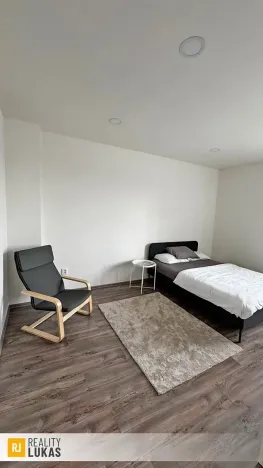 Pronájem bytu 1+1, Ostrava, 28. října, 47 m2