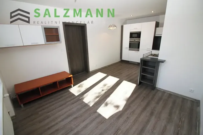 Pronájem bytu 3+kk, Plzeň, Rokycanská, 54 m2