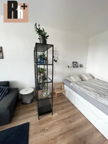 Prodej bytu 1+1, Ostrava, Opavská, 35 m2