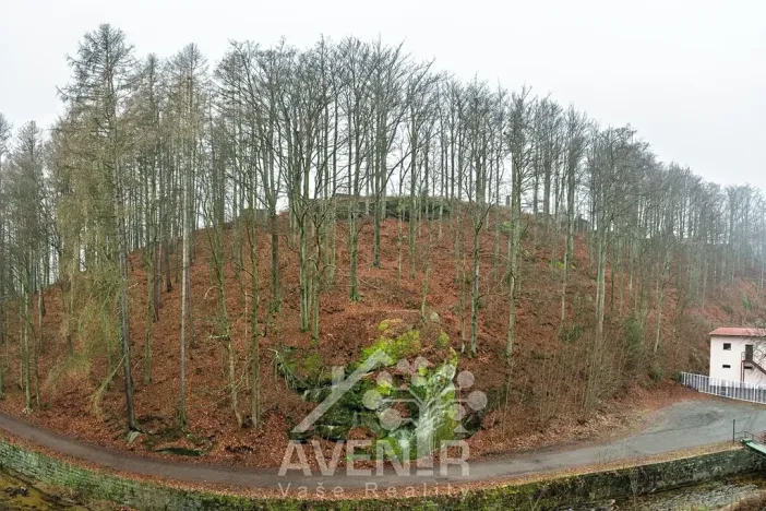 Prodej bytu 1+1, Desná, Krátká, 32 m2