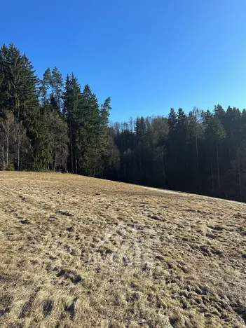 Prodej louky, Bozkov, 14441 m2