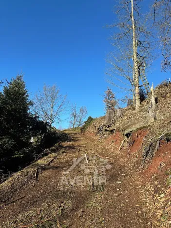 Prodej louky, Bozkov, 14441 m2