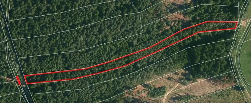 Prodej lesa, Horní Meziříčko, 6238 m2