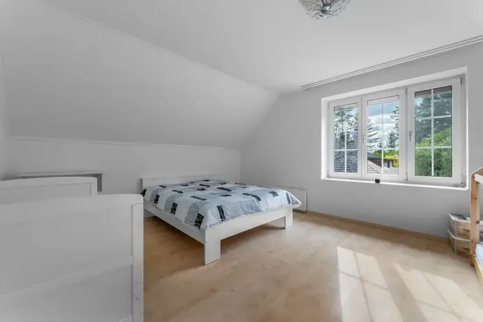 Prodej rodinného domu, Družec, V Zátiší, 289 m2