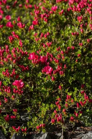 Prodej rodinného domu, Družec, V Zátiší, 289 m2