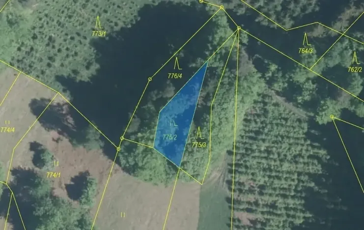 Dražba lesa, Lačnov, 281 m2