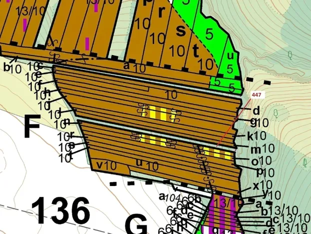 Dražba lesa, Hradčany-Kobeřice, 1989 m2