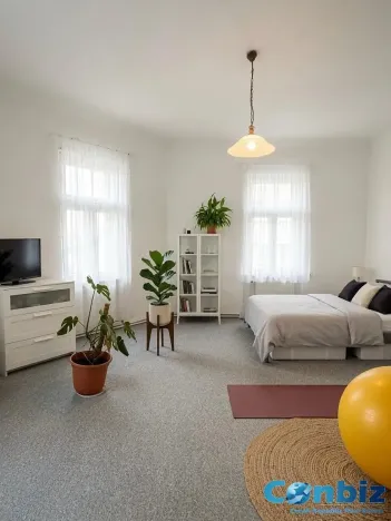 Pronájem bytu 2+1, Brno, Smetanova, 101 m2