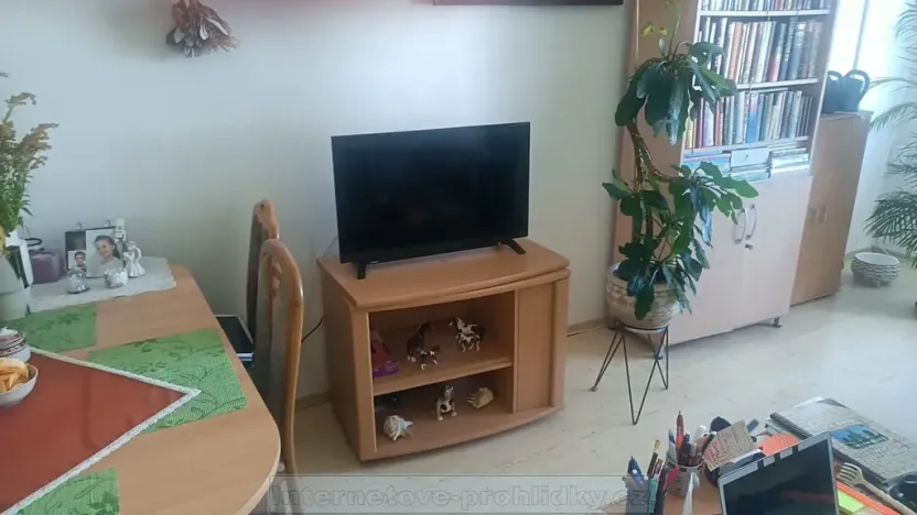 Pronájem pokoje, Praha - Libuš, Hvězdonická, 30 m2