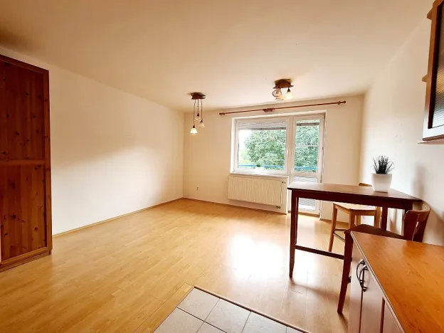 Pronájem bytu 1+kk, Brno, Živného, 34 m2