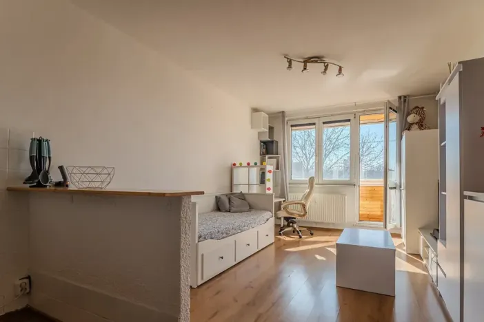 Prodej bytu 1+kk, Ostrava, Gen. Píky, 28 m2