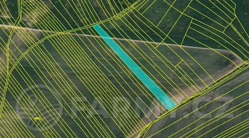 Prodej pole, Kyjov, 69892 m2