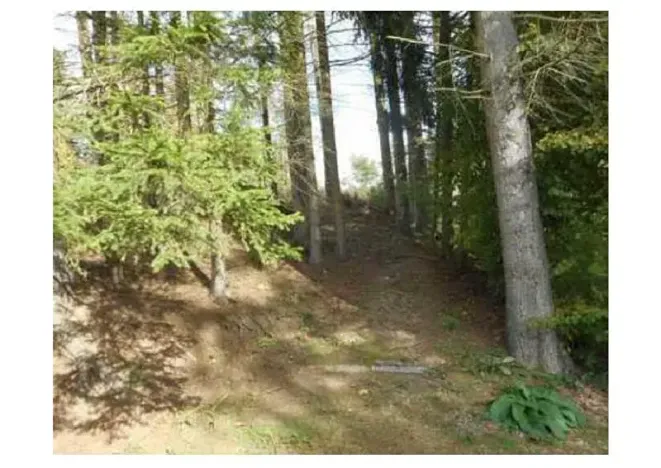 Prodej lesa, Vyskytná nad Jihlavou, 257 m2