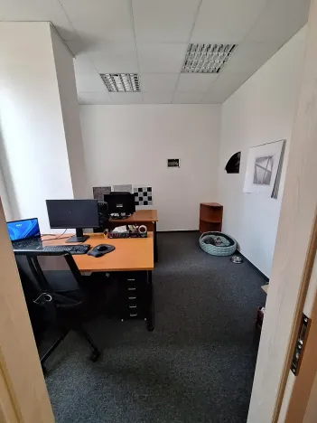 Pronájem kanceláře, Brno, Jana Babáka, 51 m2