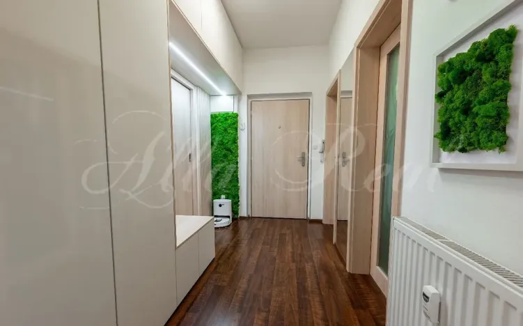 Pronájem bytu 2+kk, Brno - Slatina, Langrova, 66 m2
