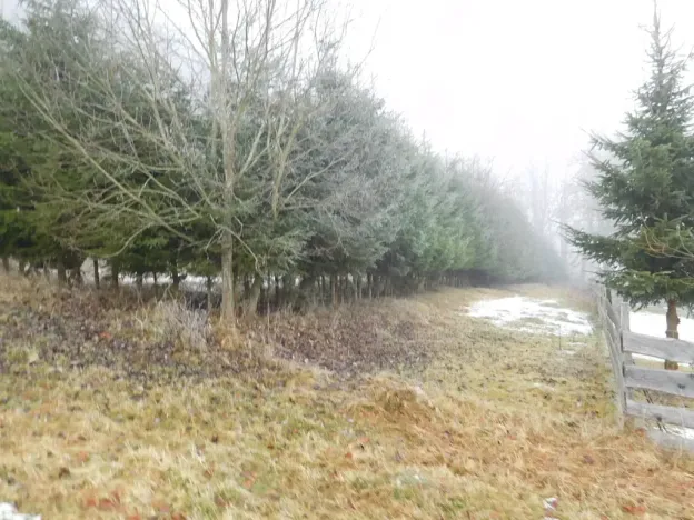 Dražba louky, Horní Planá, 3804 m2