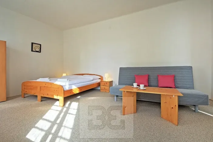 Pronájem bytu 2+kk, Praha - Nové Město, V jirchářích, 47 m2