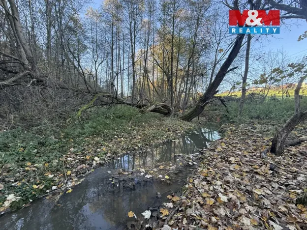 Prodej lesa, Velká Polom, 1901 m2