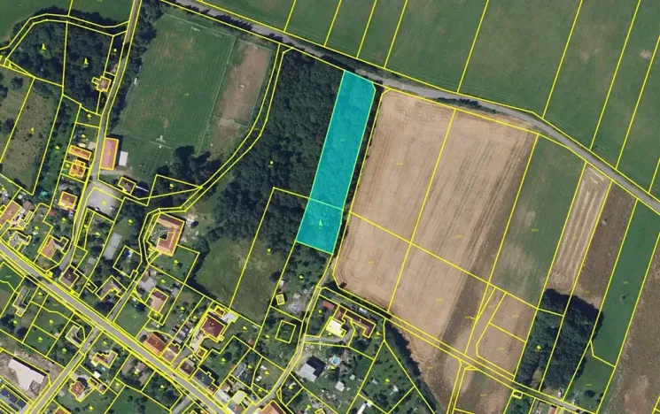 Prodej lesa, Brodek u Konice, 4676 m2