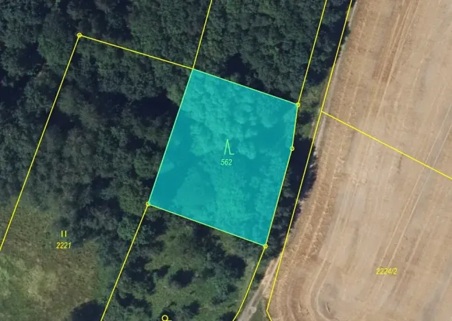 Prodej lesa, Brodek u Konice, 4676 m2