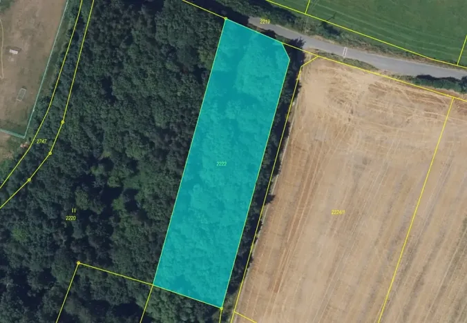 Prodej lesa, Brodek u Konice, 4676 m2