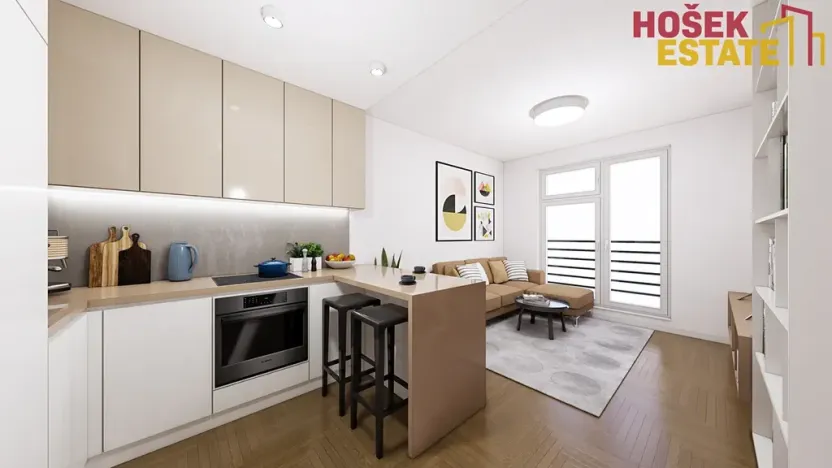 Dražba bytu 3+kk, Brno, Netušilova, 51 m2