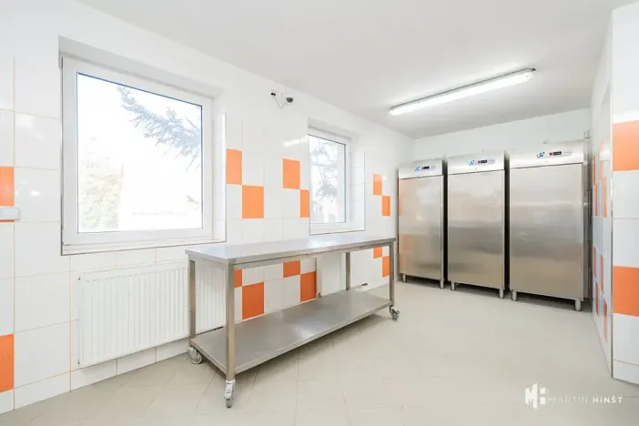 Pronájem výrobních prostor, Zlonín, Hlavní, 50 m2
