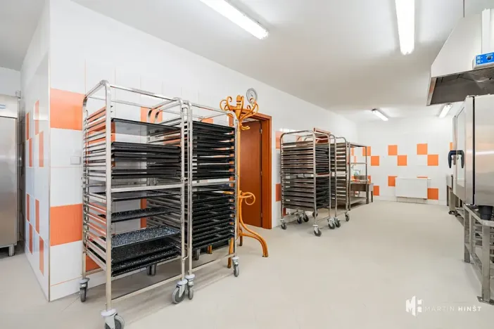 Pronájem výrobních prostor, Zlonín, Hlavní, 50 m2