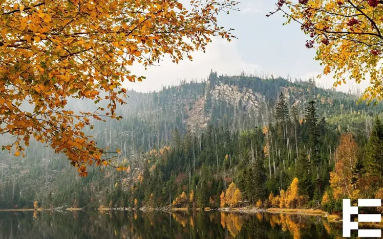 Prodej pozemku pro bydlení, Horní Planá, 843 m2