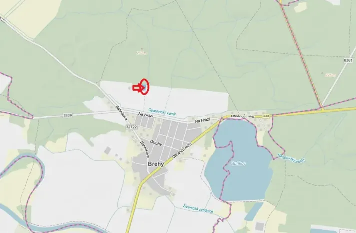 Prodej podílu lesa, Břehy, 1092 m2