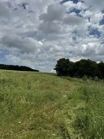 Prodej podílu pole, Suchdol, 4916 m2