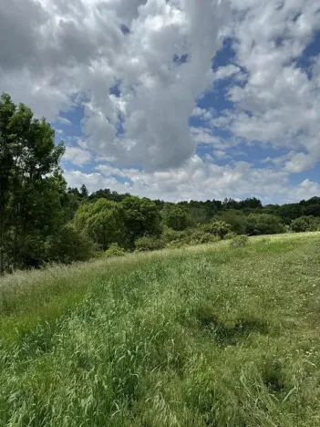 Prodej podílu pozemku, Suchdol, 3247 m2