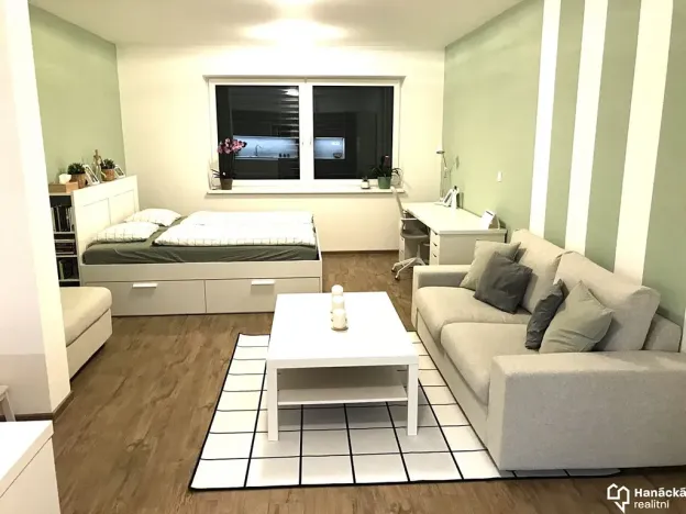 Pronájem bytu 1+kk, Olomouc, Dolní novosadská, 43 m2