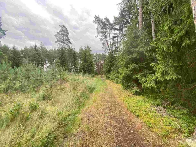 Prodej pozemku, Kladruby - Tuněchody, 1744 m2