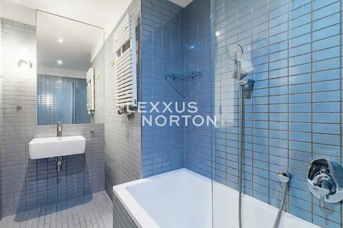 Pronájem bytu 2+kk, Praha - Žižkov, Prokopova, 58 m2