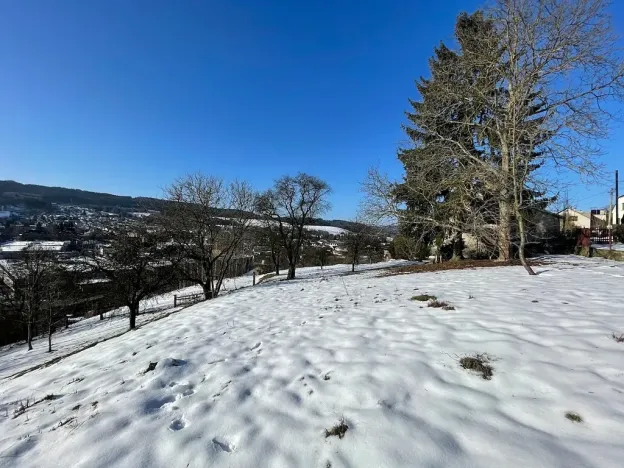 Prodej pozemku pro bydlení, Česká Třebová, 6000 m2