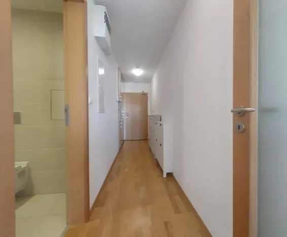 Pronájem bytu 1+kk, Praha - Žižkov, Ke kapslovně, 38 m2