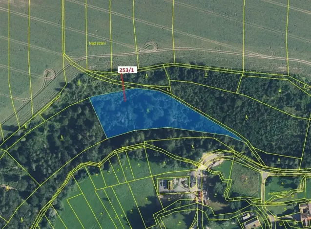 Dražba lesa, Nové Hrady, 7264 m2