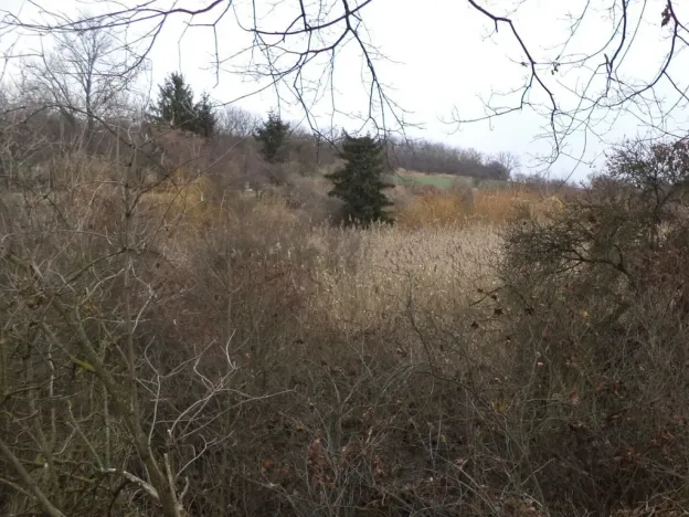 Prodej pozemku, Brandýs nad Labem-Stará Boleslav - Popovice, 1366 m2