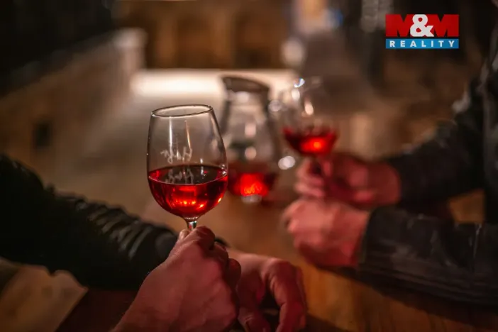 Prodej vinného sklepa, Chvalovice, 62 m2