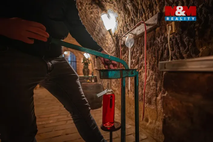 Prodej vinného sklepa, Chvalovice, 62 m2