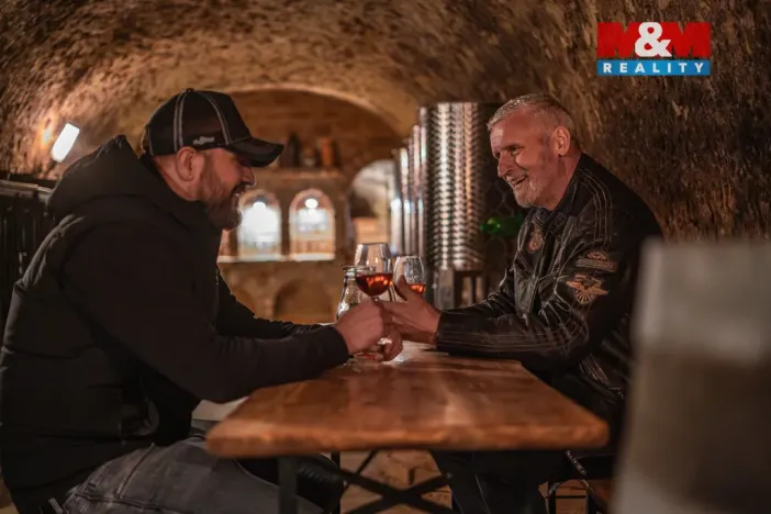 Prodej vinného sklepa, Chvalovice, 62 m2