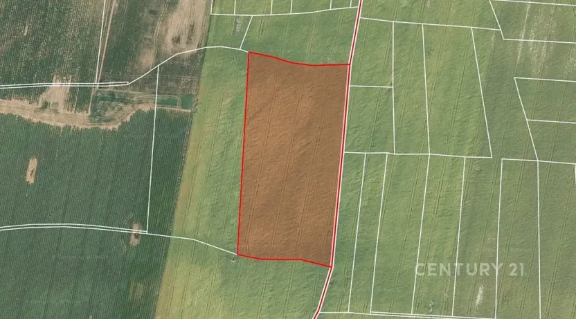 Prodej pole, Střelské Hoštice, 32521 m2