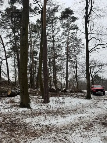 Prodej lesa, Stříbrnice, 2595 m2