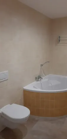 Pronájem bytu 1+kk, Břeclav, U Tržiště, 30 m2