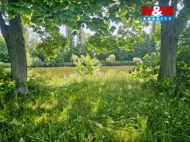 Prodej louky, Hradec Králové - Pražské Předměstí, 7544 m2